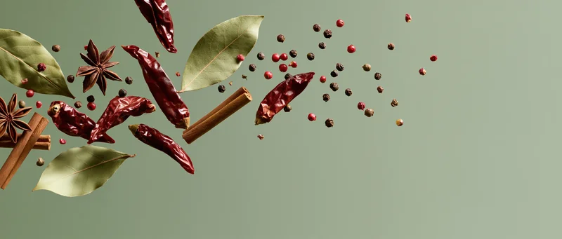 Dried spices and herbs floating mid-air against a muted green background