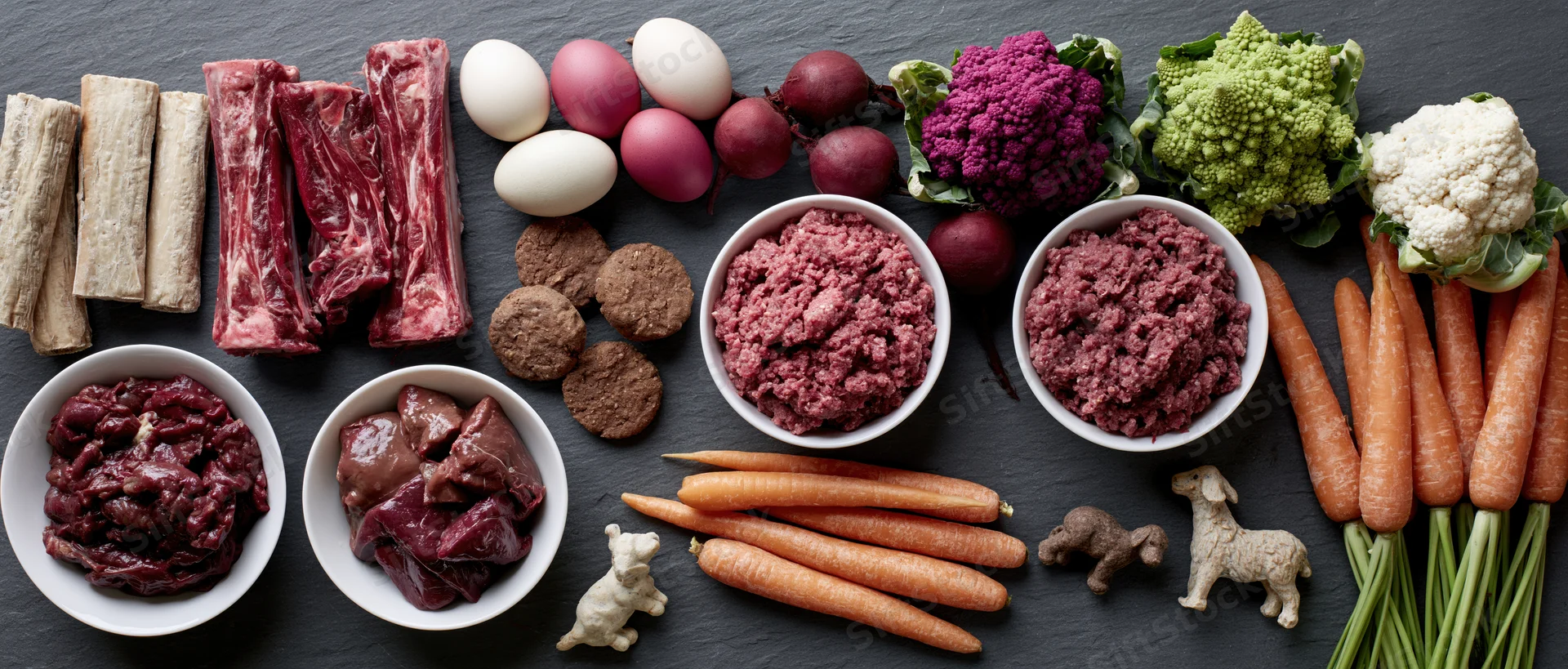 Raw dog food ingredients arranged in a flat-lay on dark surface with meat, vegetables, eggs and small dog figurines