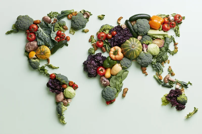 World map shape made from arranged fresh vegetables on light background