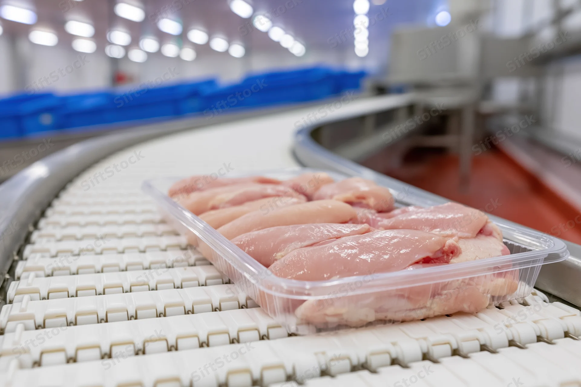 Raw chicken breasts in a clear plastic tray moving along a conveyor belt in a food processing factory