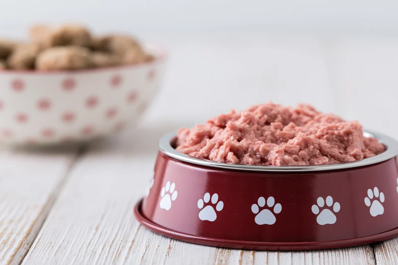 Wet dog food in a red metal bowl with white paw prints on a wooden surface