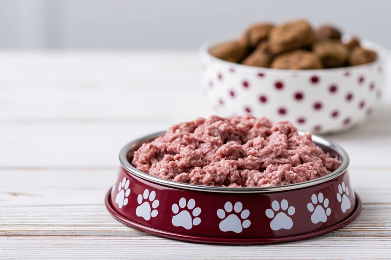 Dark red metal pet bowl with white paw prints filled with wet dog food on wooden surface, another bowl with kibble in background