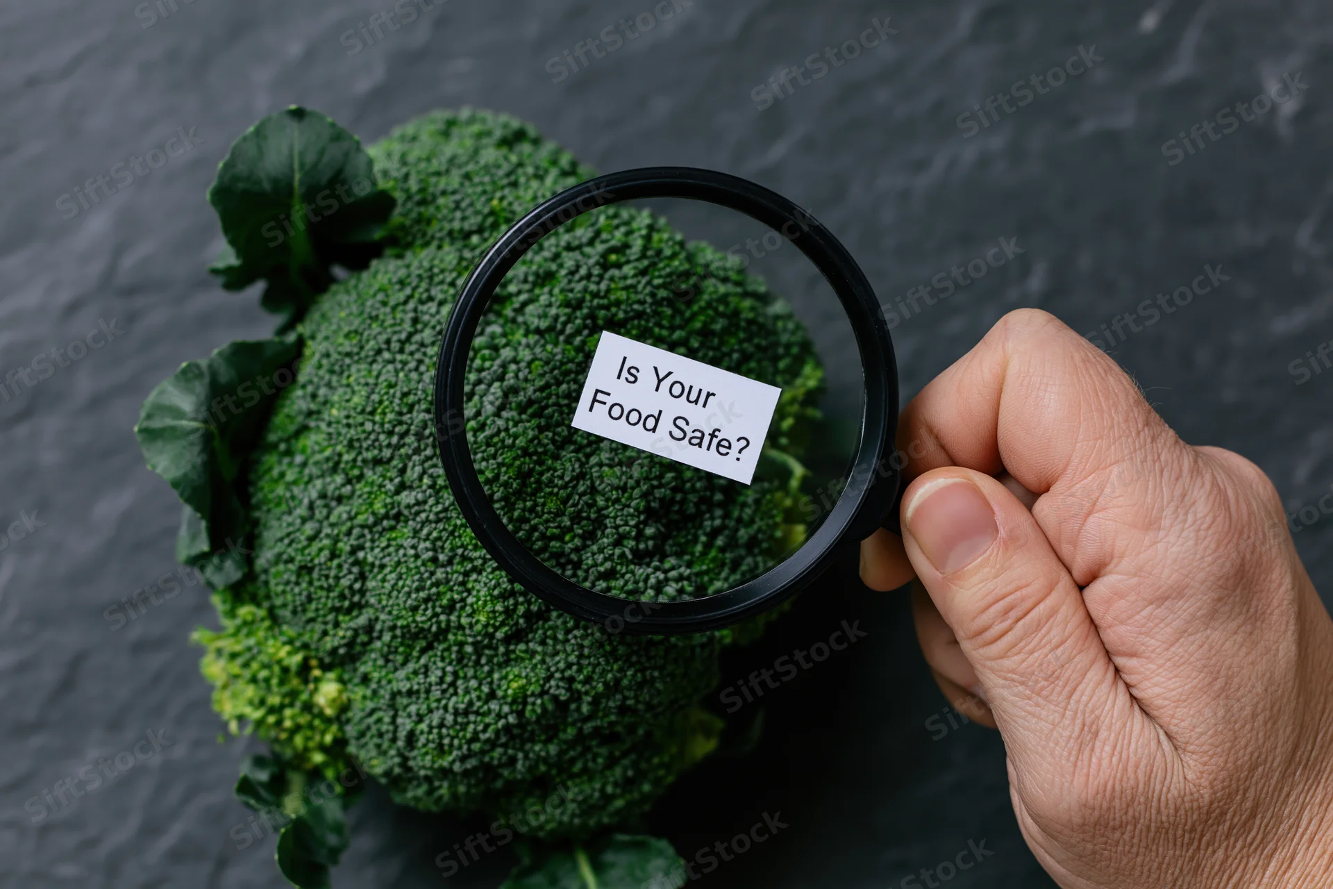Hand holding magnifying glass over fresh broccoli to inspect for food safety