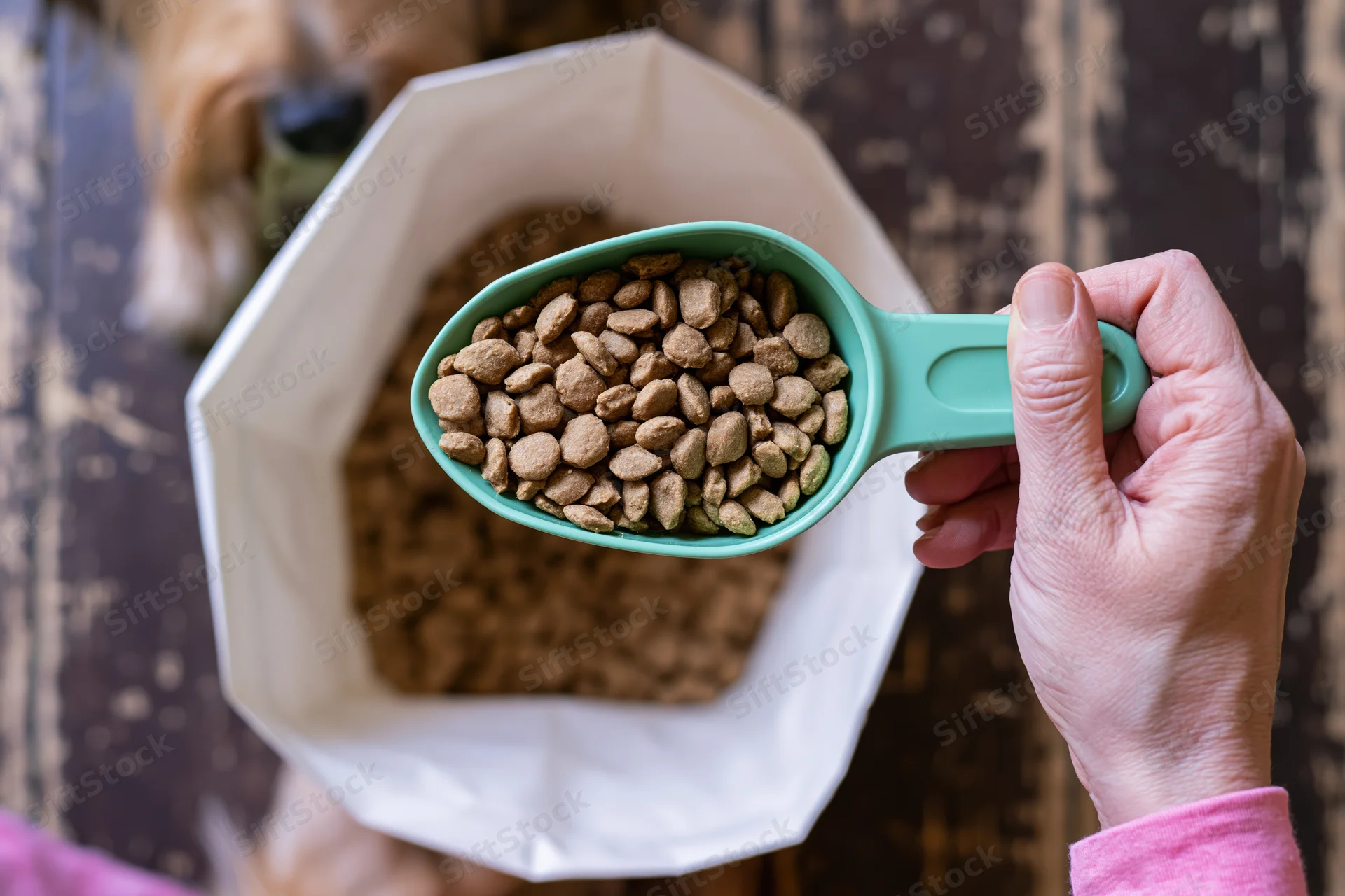 Hand holding green plastic scoop filled with dog kibble above open pet food bag