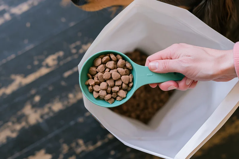 Hand holding green scoop filled with dog kibble over open pet food bag on wooden floor