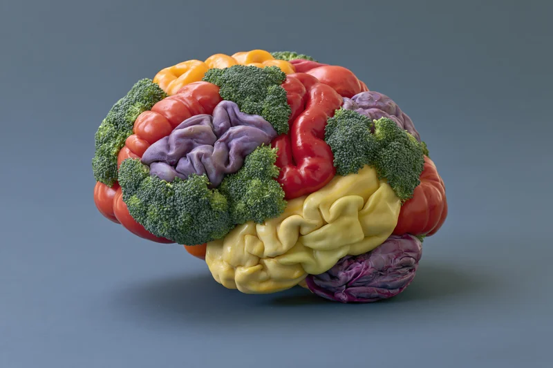 Vegetable sculpture shaped like a human brain on a gray surface