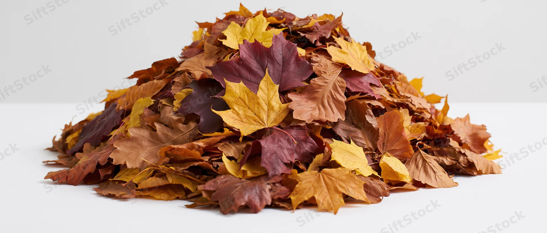 A pile of raked autumn leaves on a white surface