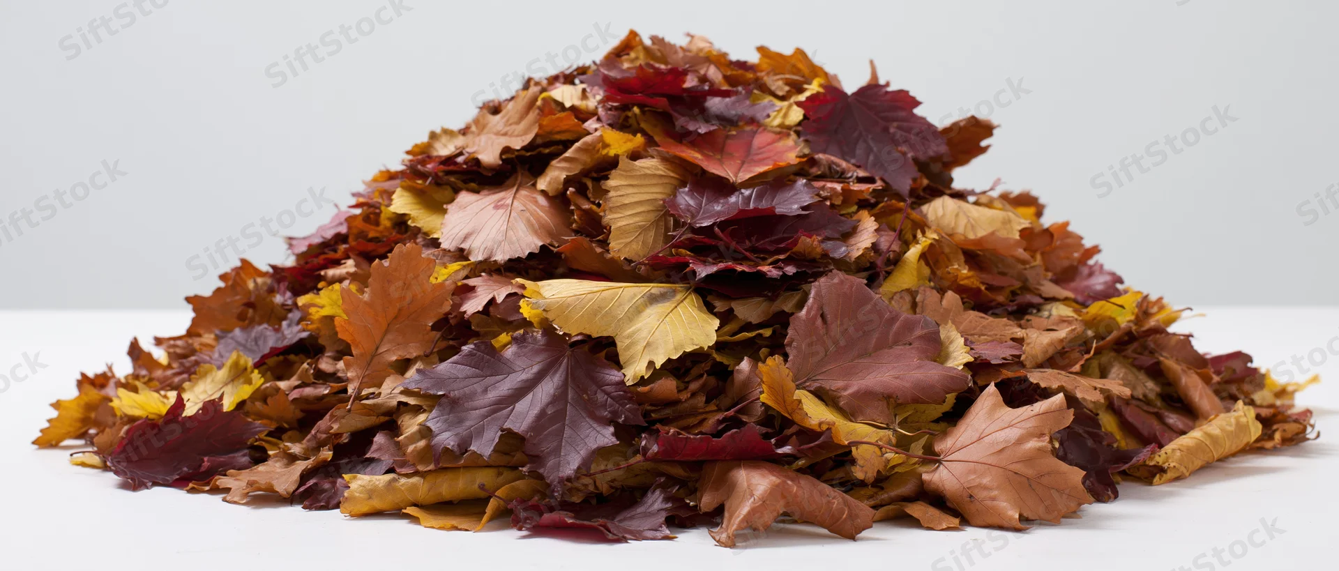 A large pile of raked fallen autumn leaves on a flat white surface