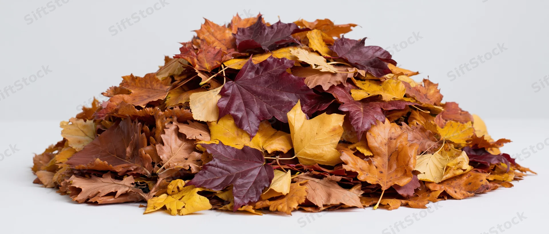 A large pile of raked autumn leaves in warm colors on a white surface