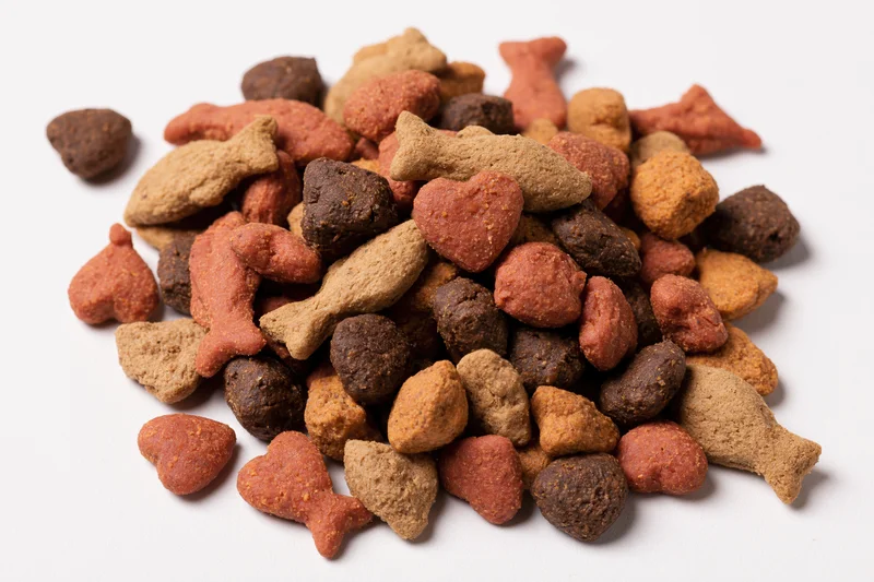 Pile of dry cat food kibble in mixed shapes on white background
