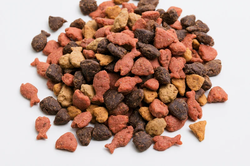 Pile of dry cat food kibble in mixed fish and heart shapes on white background