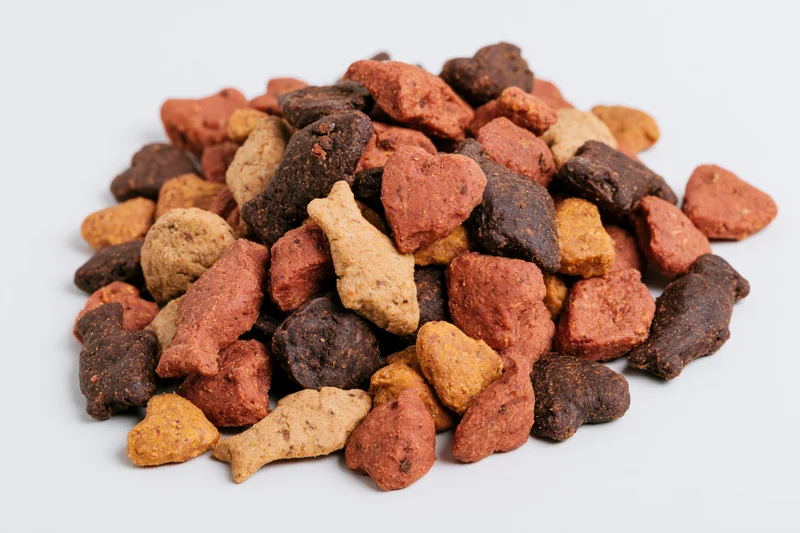 Pile of dry cat food kibble in mixed shapes on white background