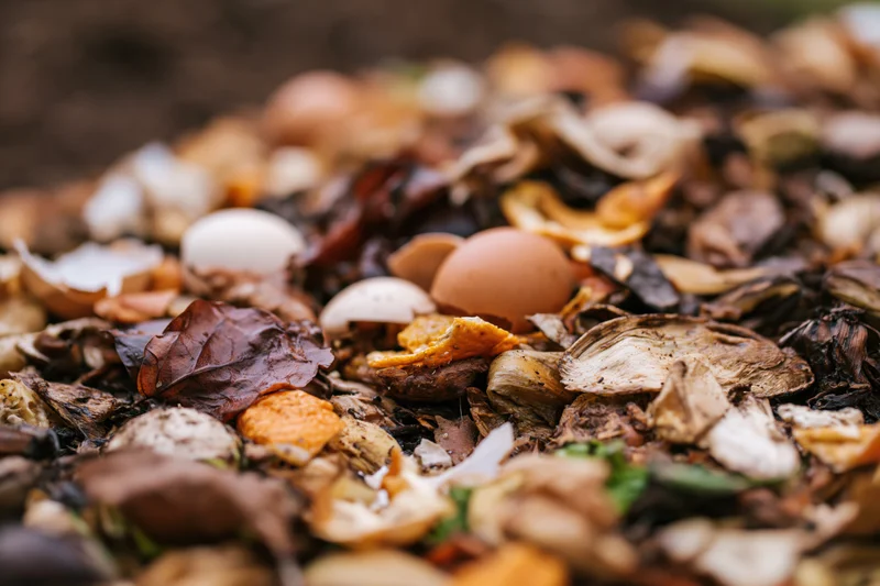 Close-up of decomposing kitchen scraps and organic waste heaped in a compost pile