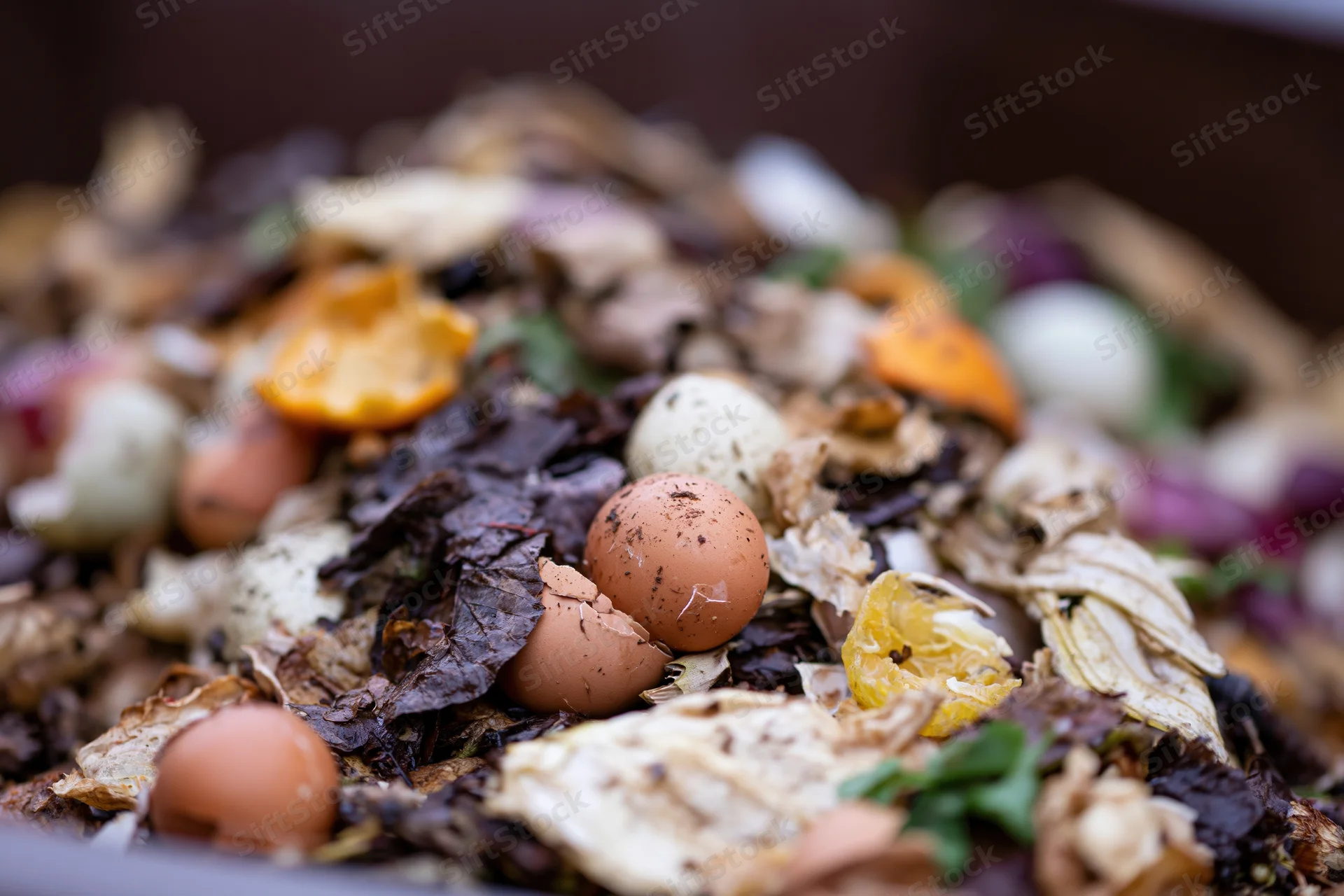 Decomposing kitchen scraps including eggshells and vegetable peels in a compost heap