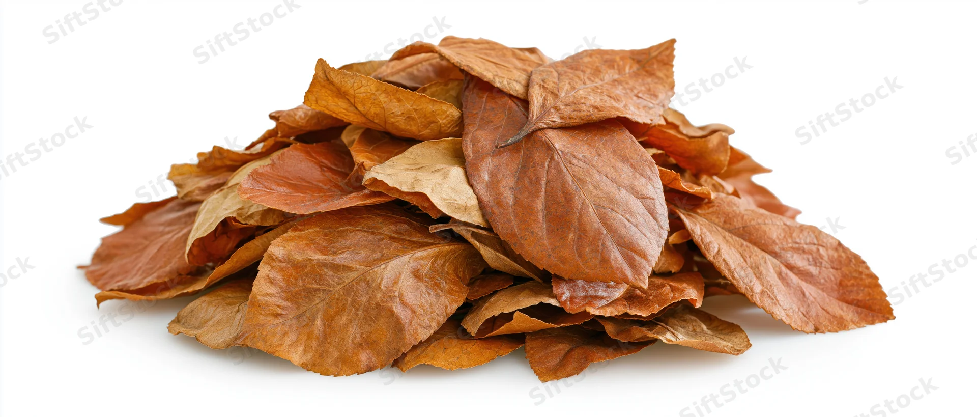 Pile of dry fallen autumn leaves heaped into a mound on white background