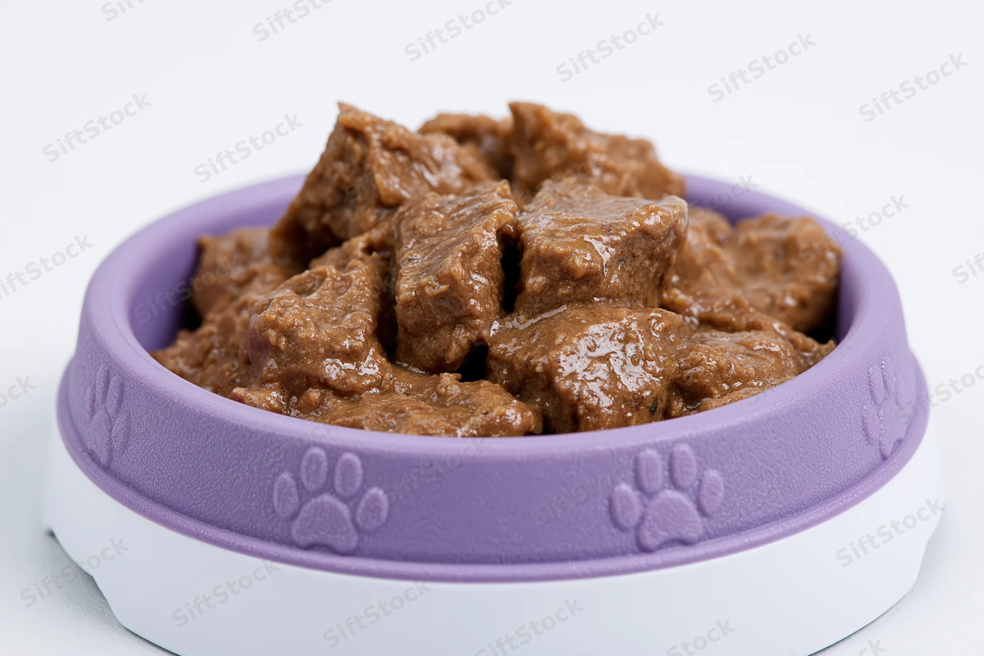 Wet pet food in chunks with gravy served in a purple and white bowl with embossed paw prints on a white background