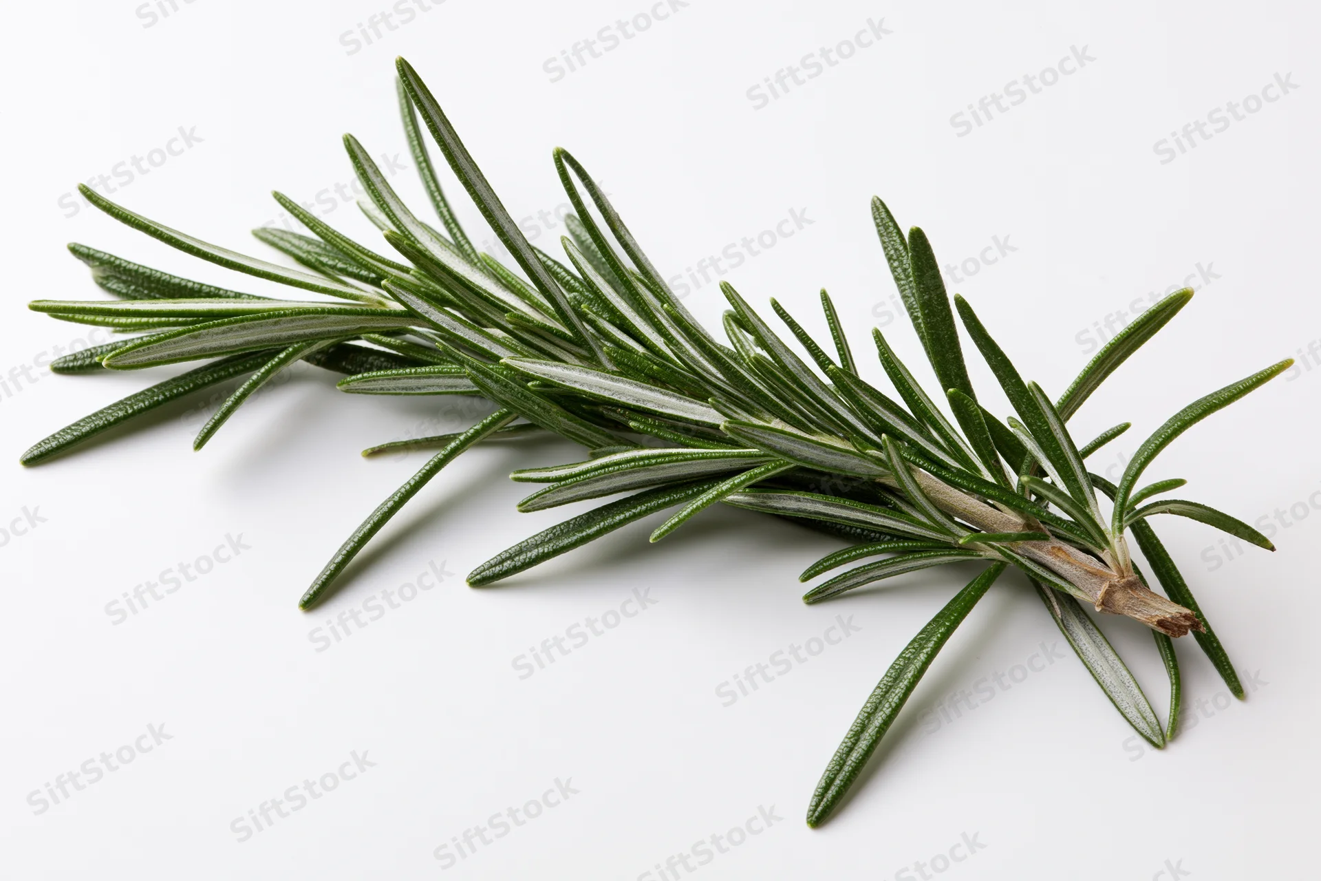 A fresh rosemary sprig lying flat on a white surface