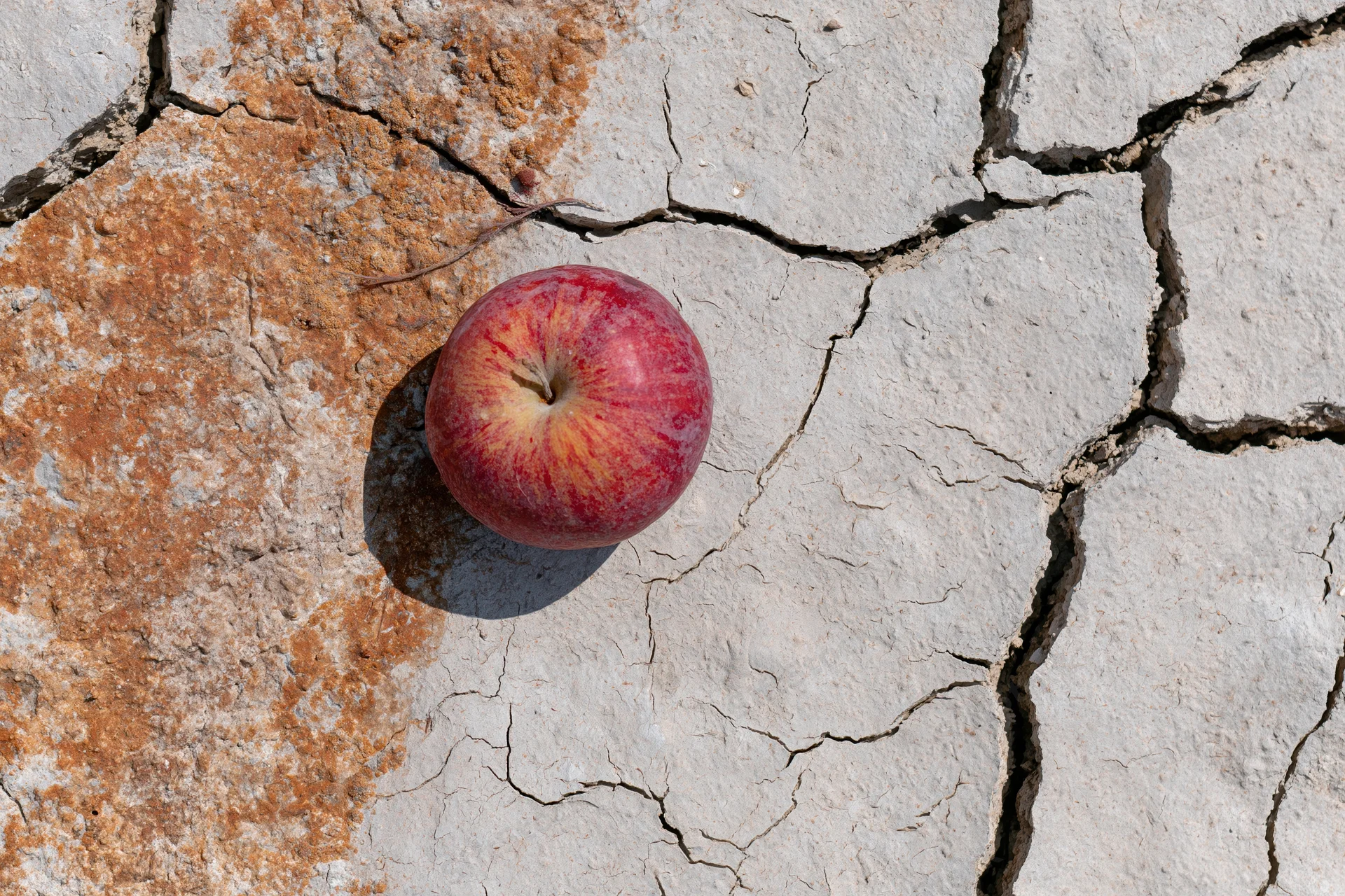 Red apple resting on cracked dry earth surface