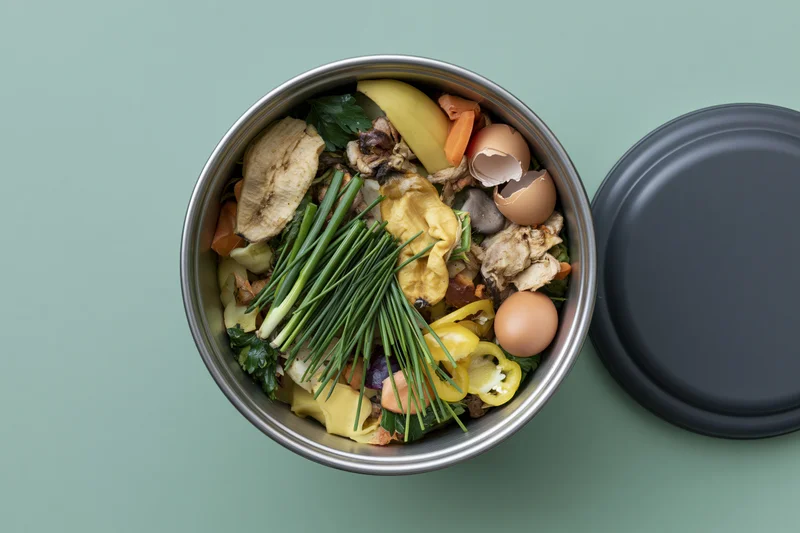 Stainless steel compost bin filled with mixed food scraps on a green surface