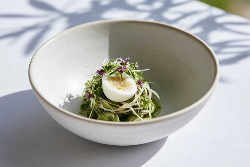 A shallow white ceramic bowl holding a composed salad with a halved hard-boiled egg, microgreens and edible flowers on a sunlit table with leaf shadows