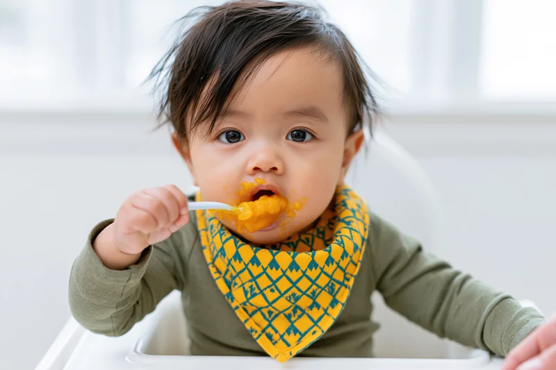 Asian toddler eating orange puree with spoon in highchair wearing yellow bib