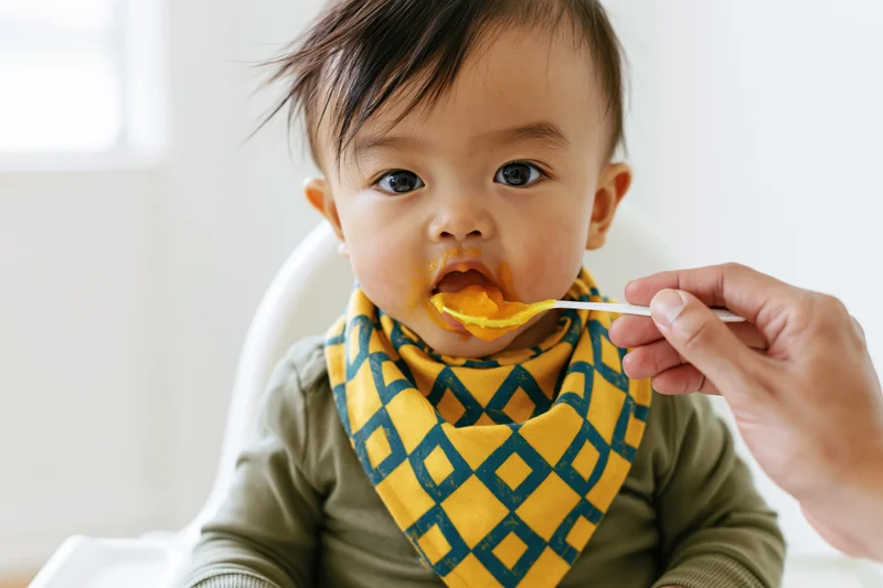 Baby being spoon-fed orange puree while seated in highchair wearing patterned bib