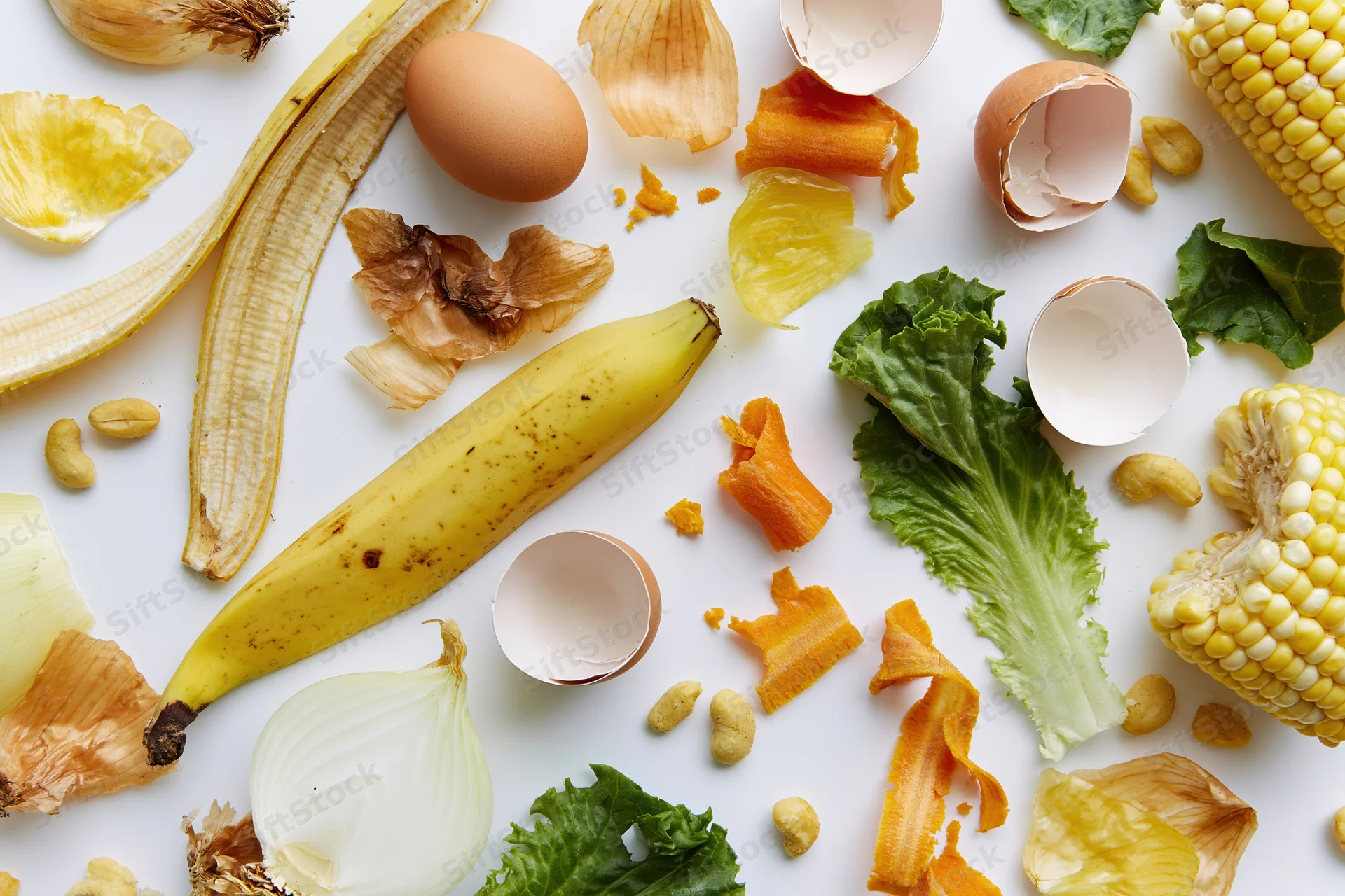 Assorted kitchen food scraps arranged flat on white surface