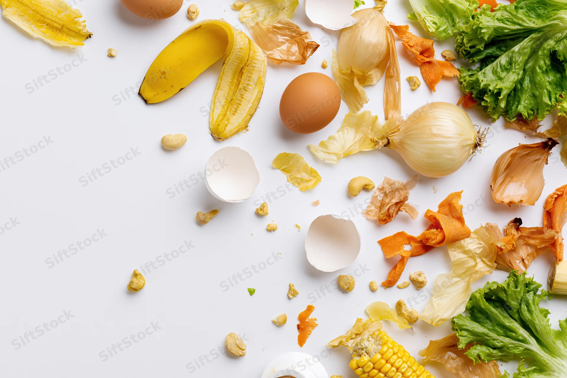 Assorted kitchen food scraps scattered on a white surface