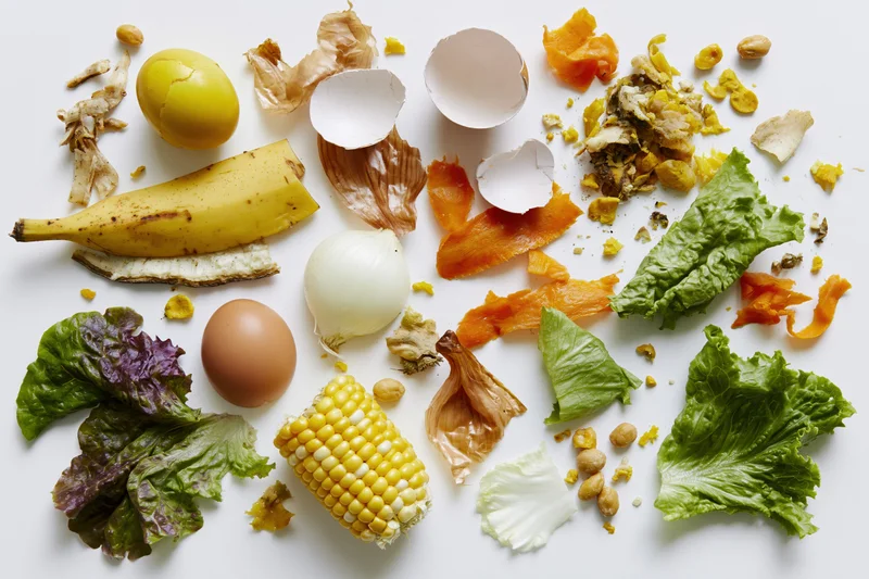 Assorted kitchen food scraps arranged flat on white surface