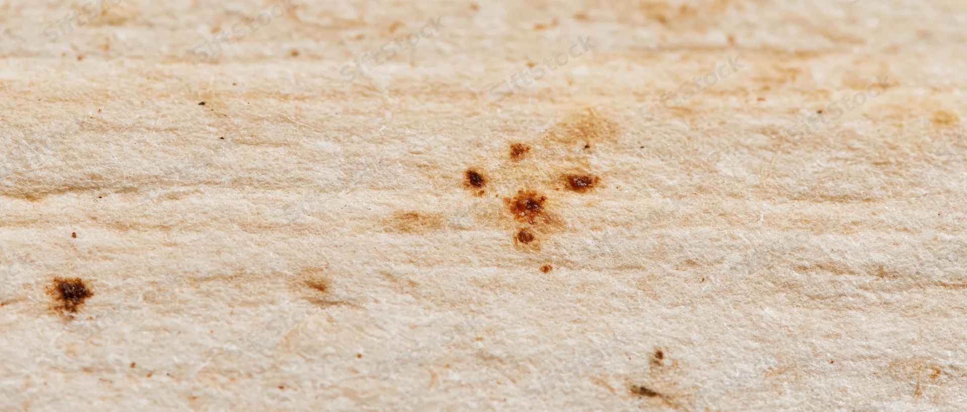 Close-up of aged paper surface with visible fibers and brown stains