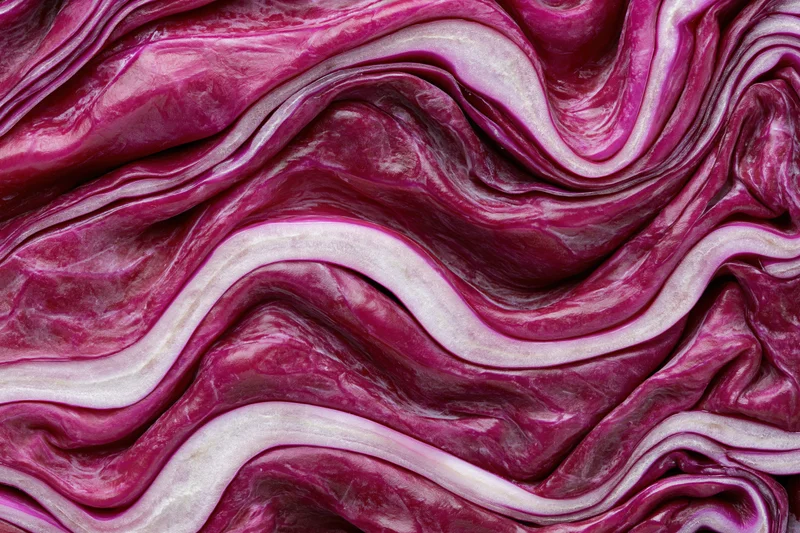 Close-up of sliced red cabbage cross-section showing layered purple and white textures