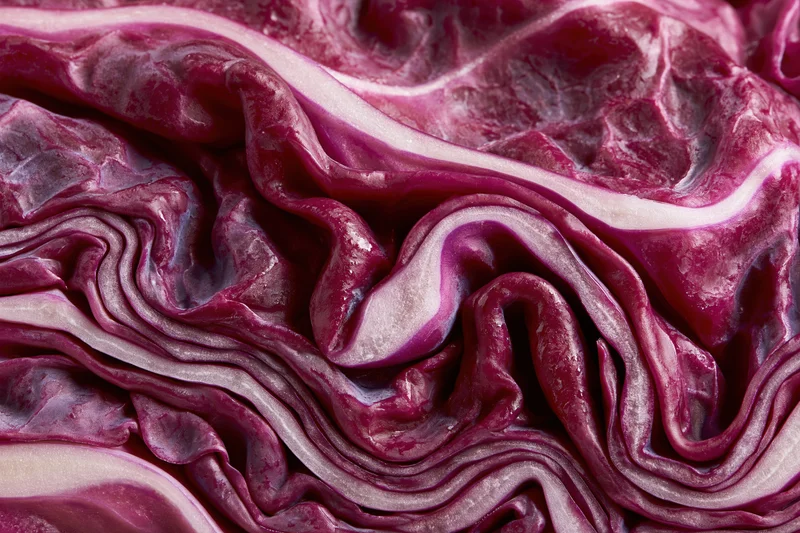 Close-up of sliced red cabbage cross-section showing layered purple and white leaves