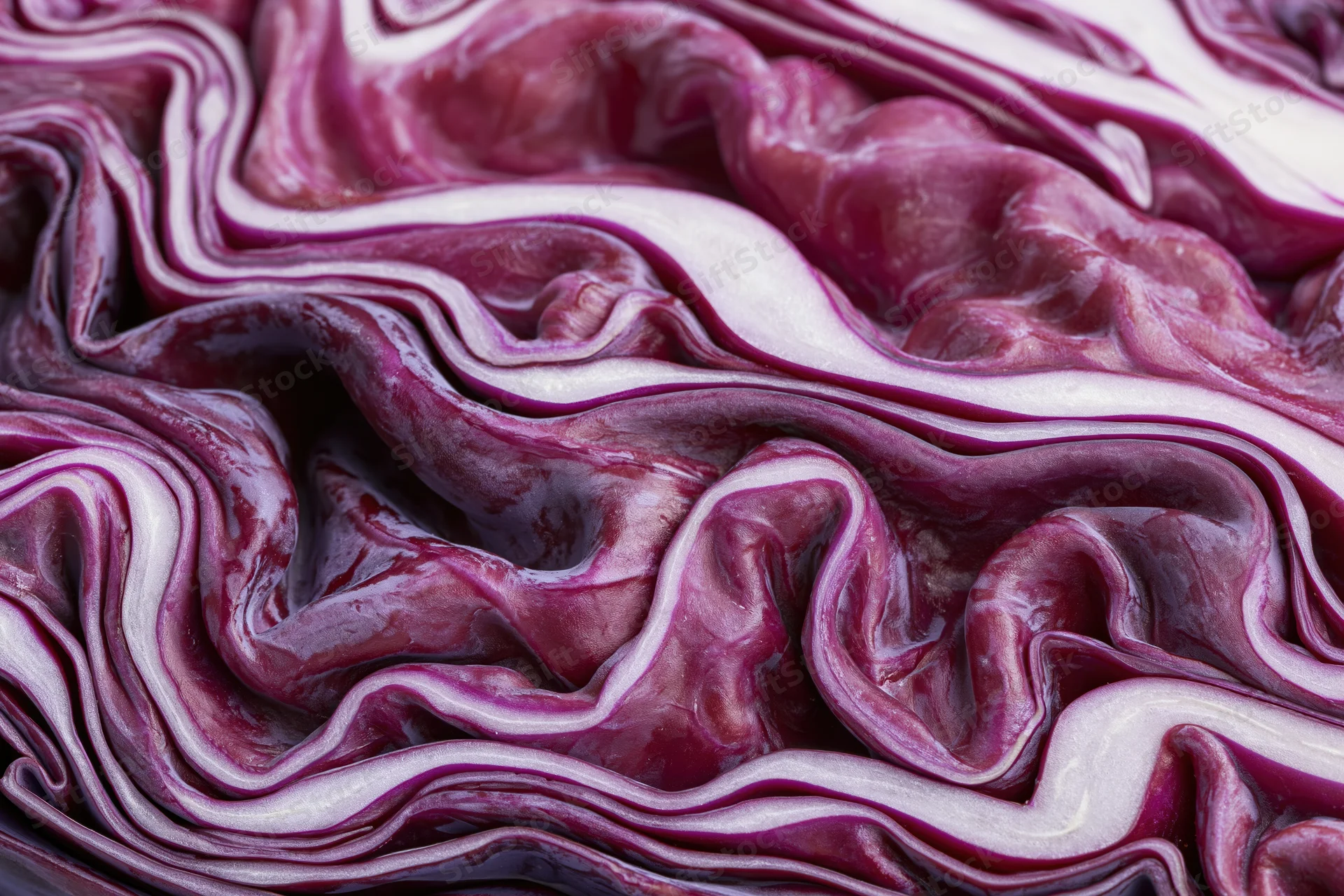 Close-up of sliced red cabbage cross-section showing layered purple and white textures