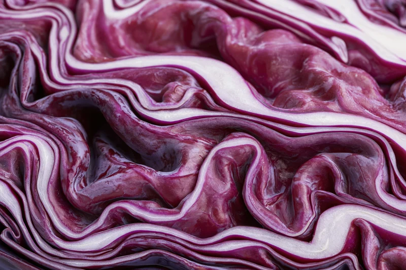 Close-up of sliced red cabbage cross-section showing layered purple and white textures