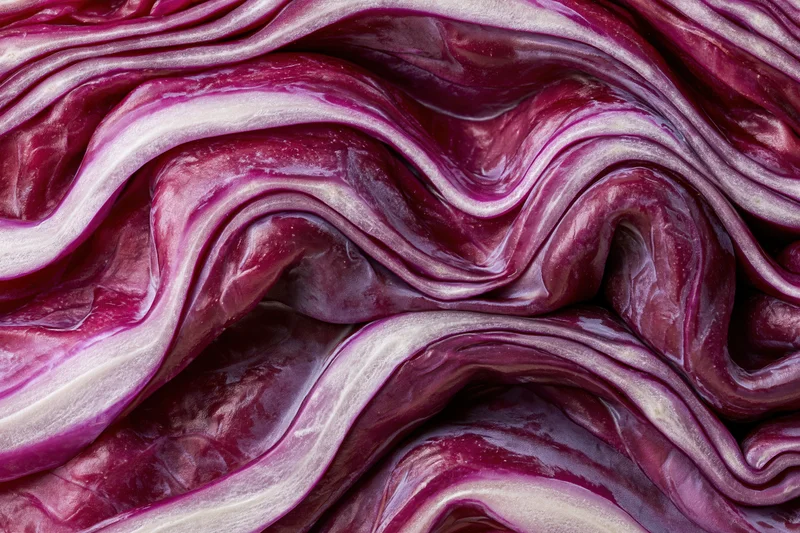 Close-up of sliced red cabbage cross-section showing layered purple and white leaves