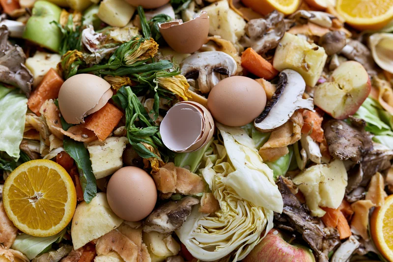 Close-up overhead view of mixed food scraps including eggshells, vegetable peels, fruit rinds, and bread scraps piled together