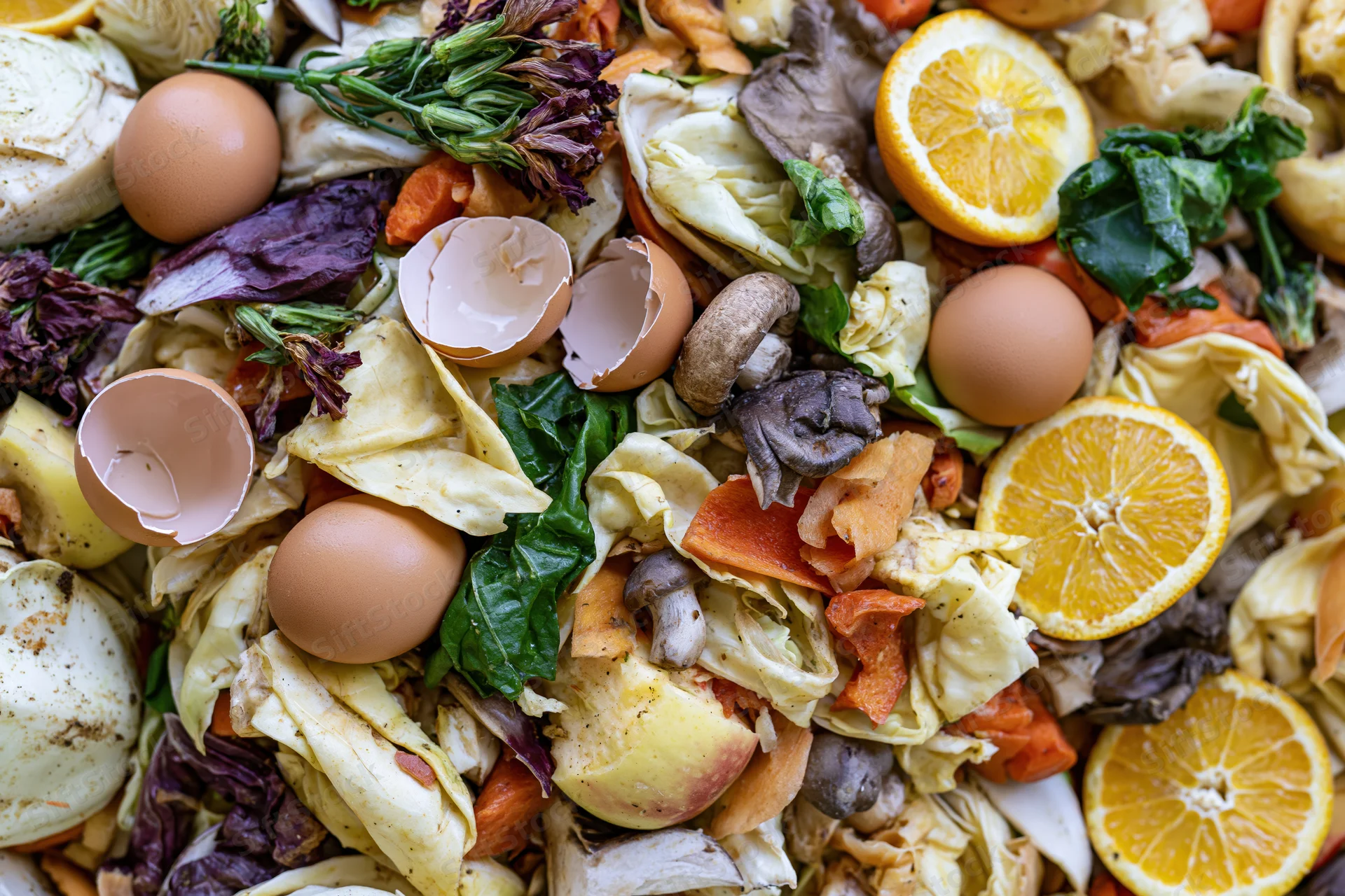 Close-up overhead view of mixed food scraps and kitchen waste piled together