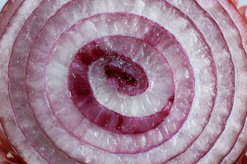 Cross-section of a red onion slice showing concentric rings and layered texture