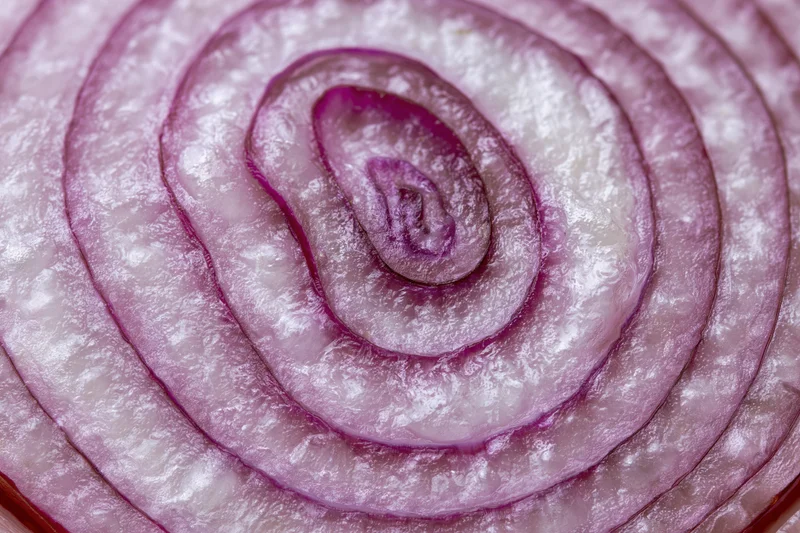 Cross-section of a red onion sliced in half showing concentric rings and layered texture