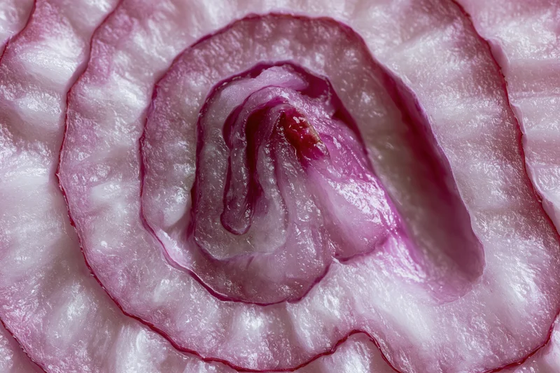 Closeup of a red onion cross-section showing concentric layers and translucent texture