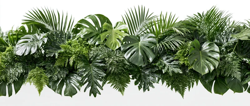 Dense horizontal arrangement of tropical foliage including monstera and palm leaves on white background