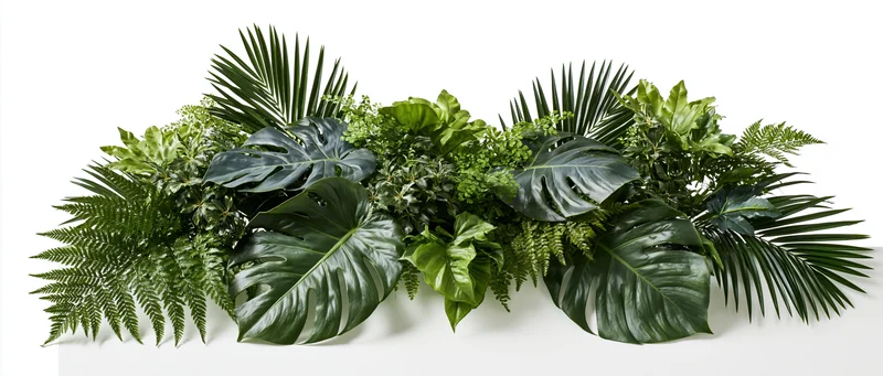 Dense horizontal arrangement of mixed tropical foliage on white background