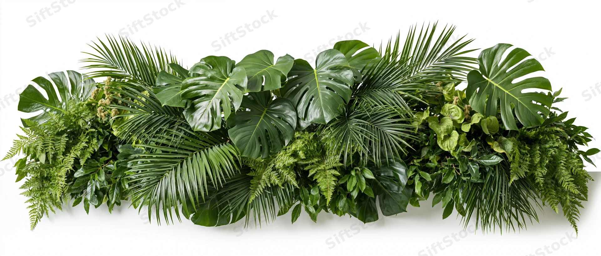 Dense horizontal arrangement of mixed tropical foliage including monstera, palm, and fern leaves on white background