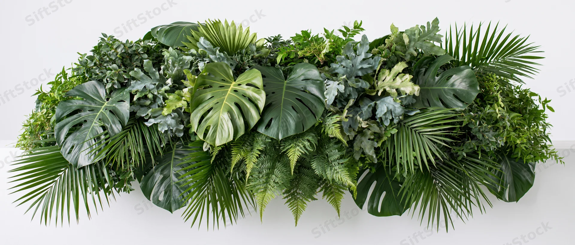 Dense horizontal arrangement of mixed tropical foliage on a white wall
