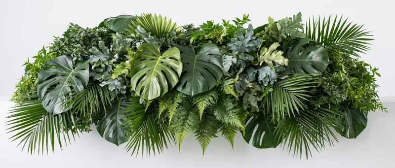 Dense horizontal arrangement of mixed tropical foliage on a white wall