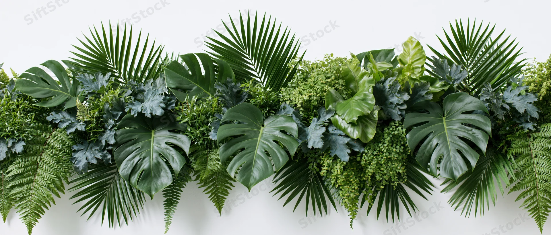 Horizontal arrangement of mixed tropical foliage on a white wall