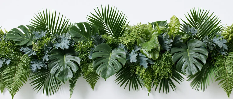 Horizontal arrangement of mixed tropical foliage on a white wall