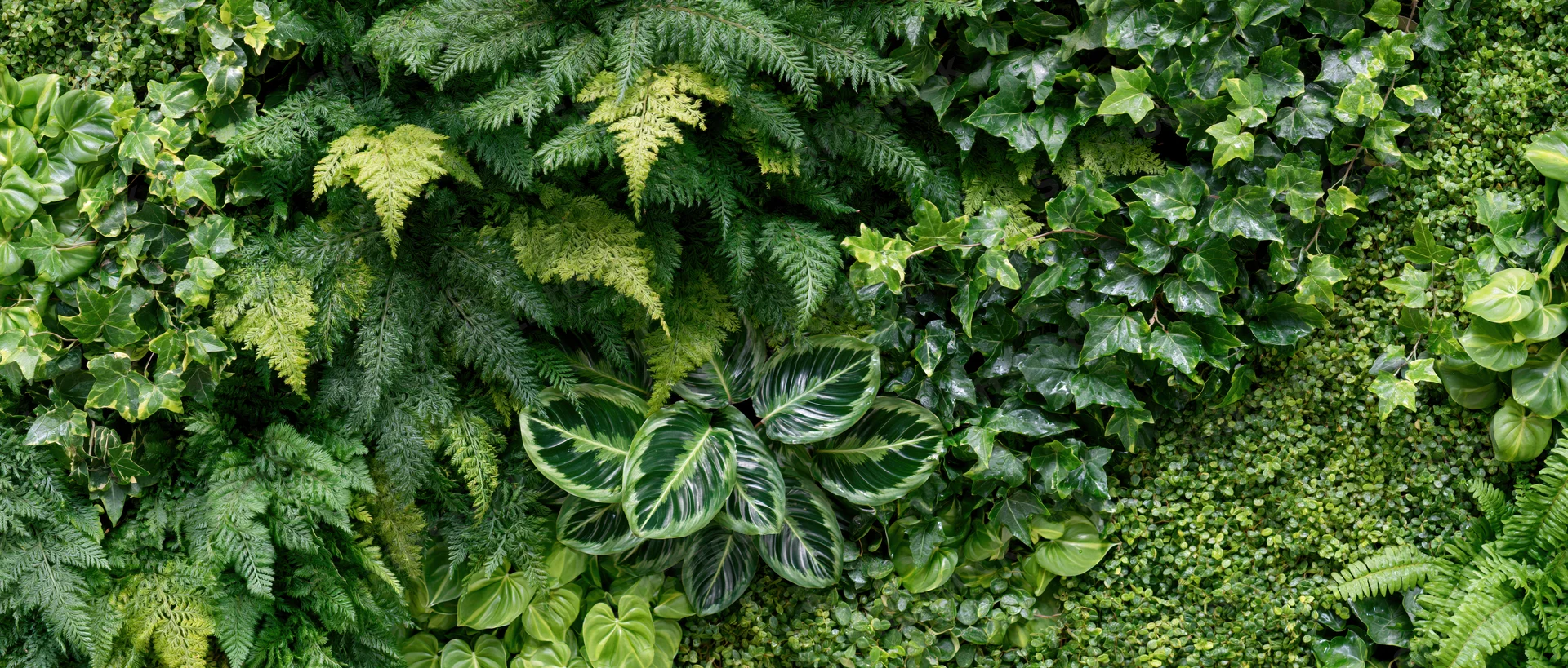 Dense vertical living wall covered in layered tropical foliage