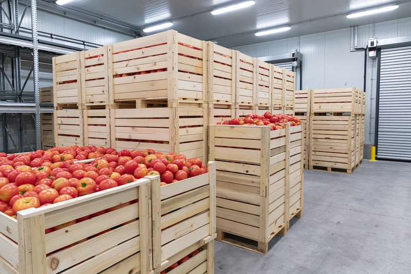 Wooden crates filled with red tomatoes stacked in a warehouse storage area