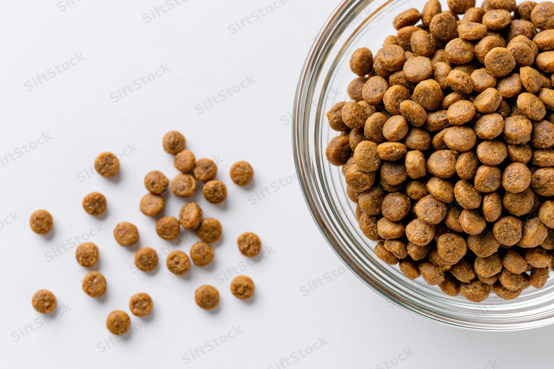 Dry pet food kibble in a glass bowl with some scattered on white surface